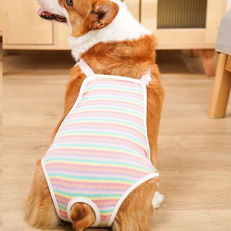 Majtki Dla Suczki Z Bawełny Na Szelkach – Regulowane, Wielorazowe, Bezpieczne Na Cieczkę