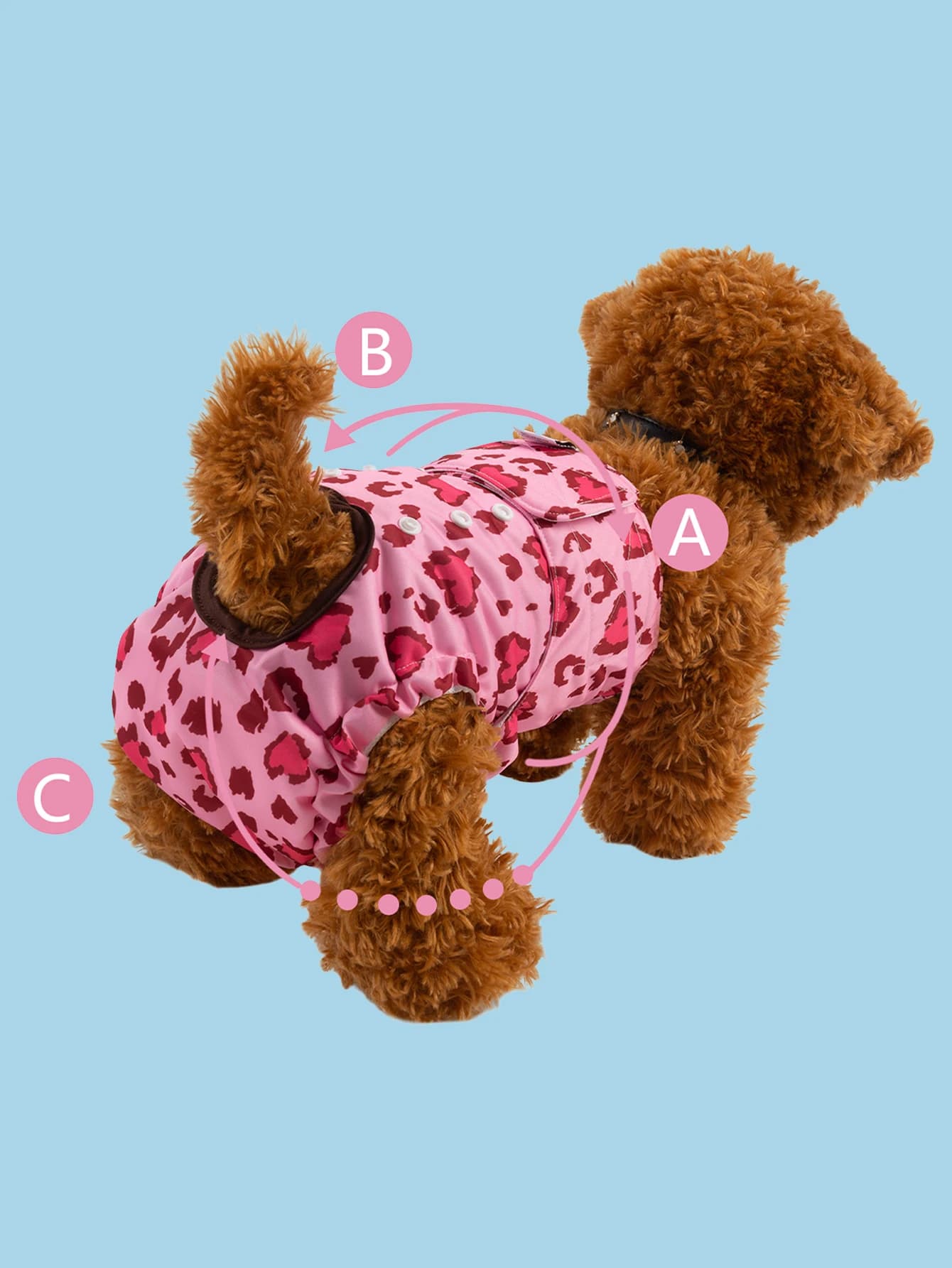 Wielorazowe Majtki Dla Suczki CuteBone – Regulowane, Wygodne i Chłonne Na Cieczkę