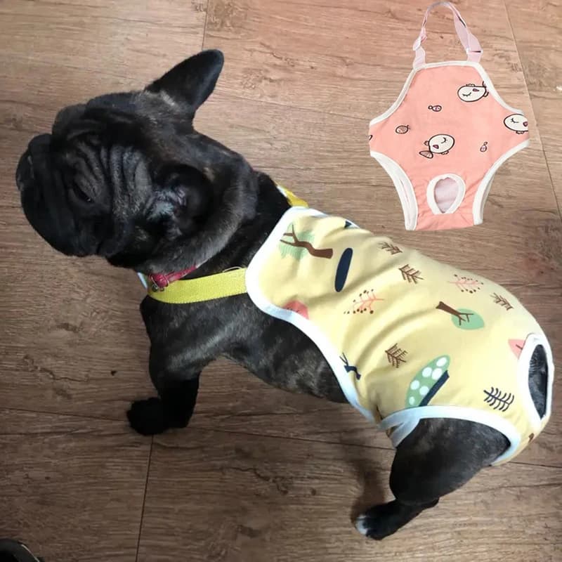 Majtki Dla Suczki Z Bawełny Na Szelkach – Regulowane, Wielorazowe, Bezpieczne Na Cieczkę