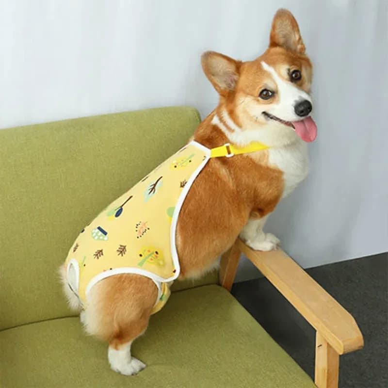 Majtki Dla Suczki Z Bawełny Na Szelkach – Regulowane, Wielorazowe, Bezpieczne Na Cieczkę