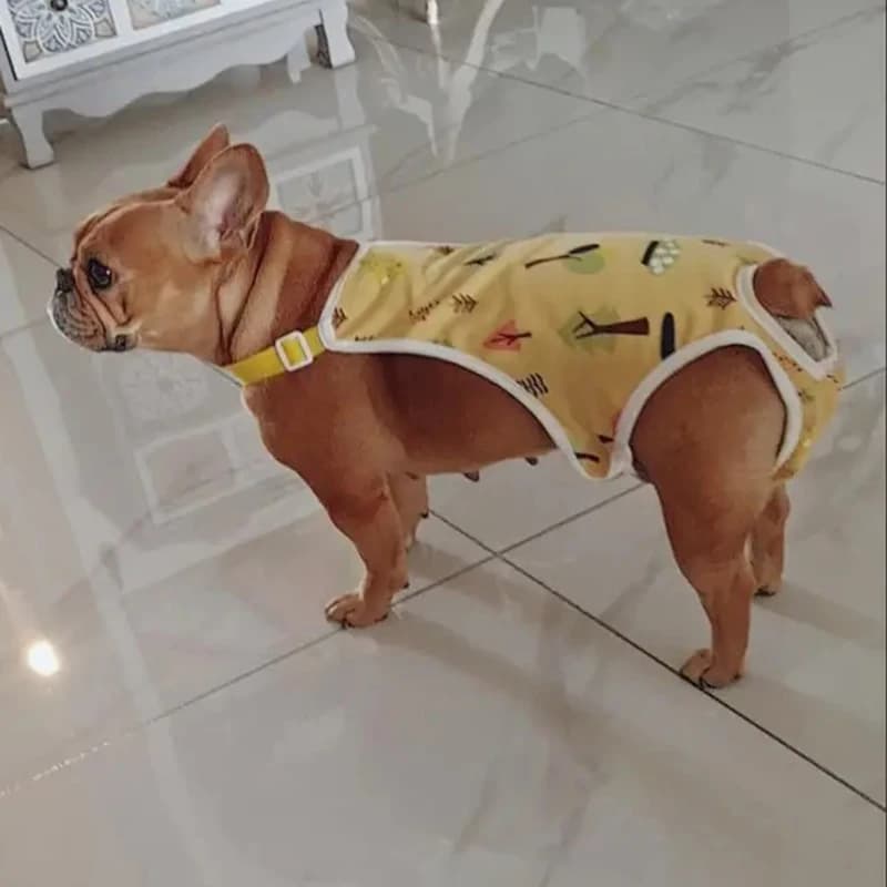 Majtki Dla Suczki Z Bawełny Na Szelkach – Regulowane, Wielorazowe, Bezpieczne Na Cieczkę