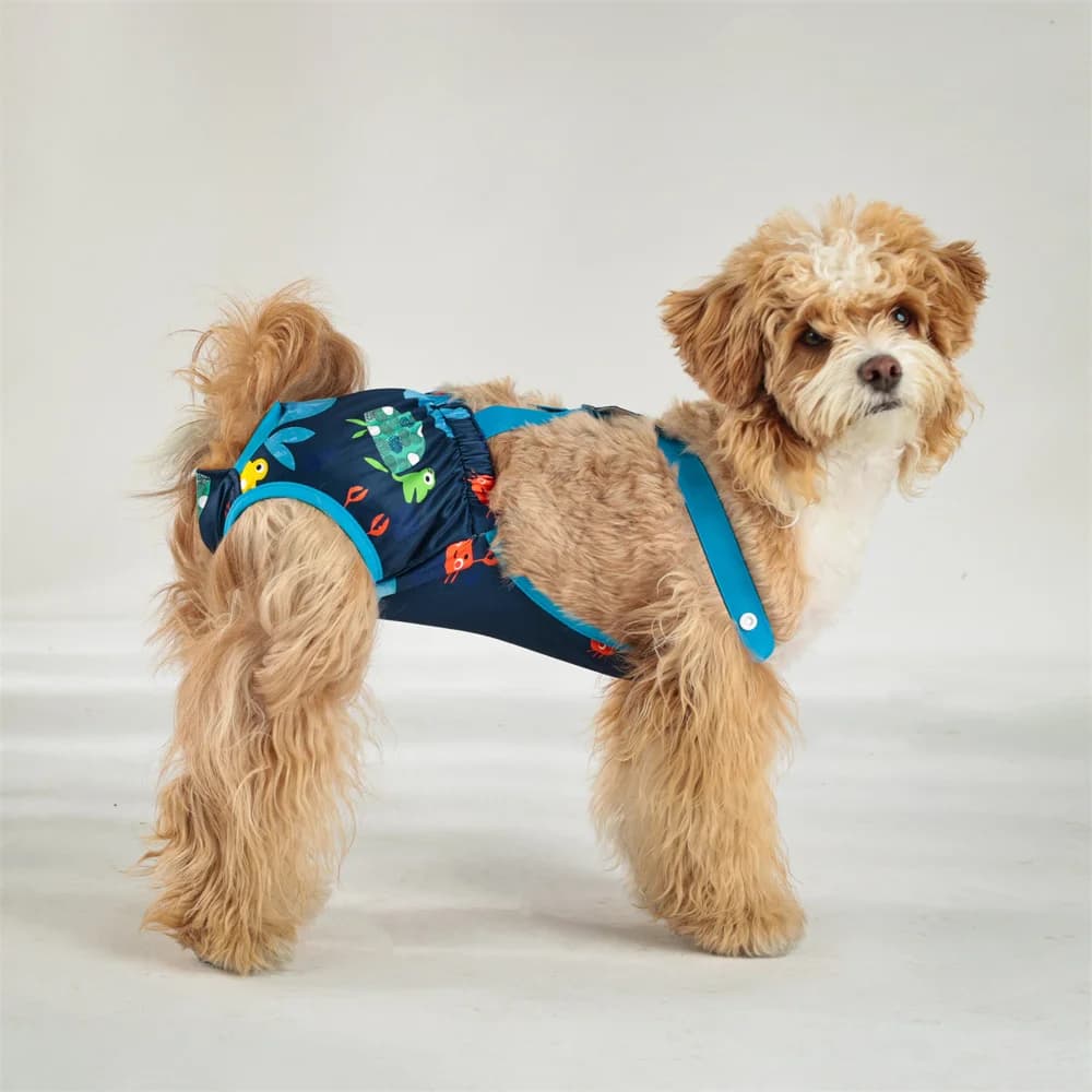 Majteczki Ochronne Dla Suczki Z Wzorkami – Figi Higieniczne Na Czas Cieczki Lub Nietrzymania Moczu