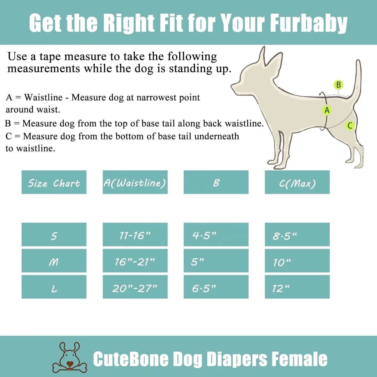 Wielorazowe Majtki Dla Suczki CuteBone – Regulowane, Wygodne i Chłonne Na Cieczkę