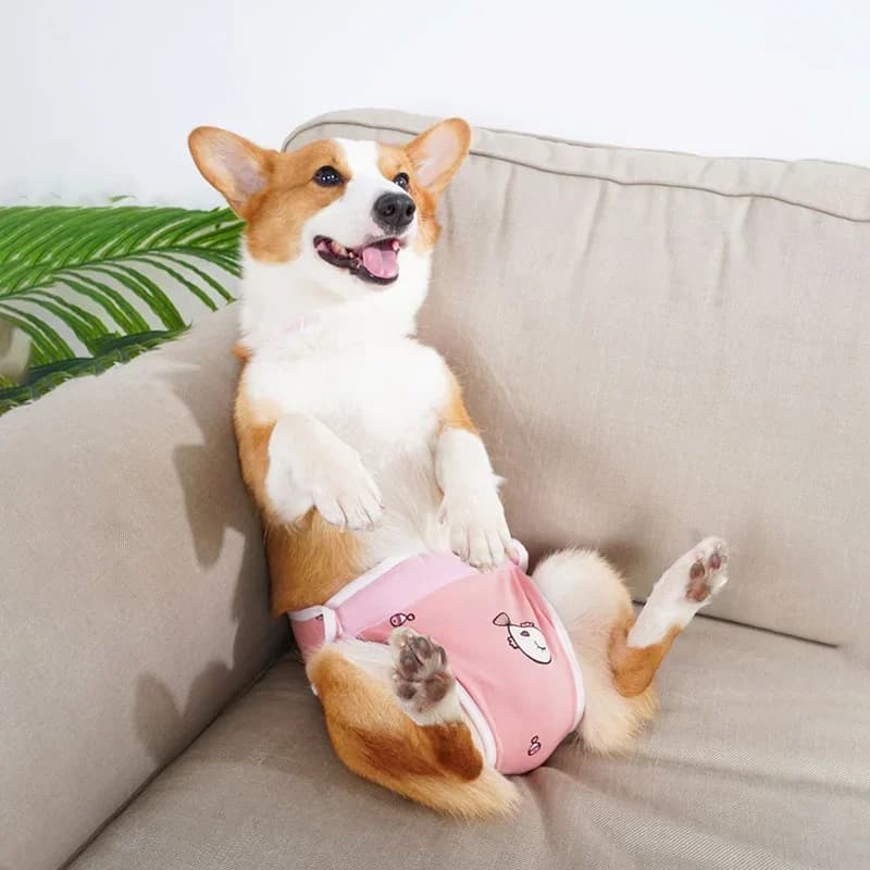 Majtki Dla Suczki Z Bawełny Na Szelkach – Regulowane, Wielorazowe, Bezpieczne Na Cieczkę