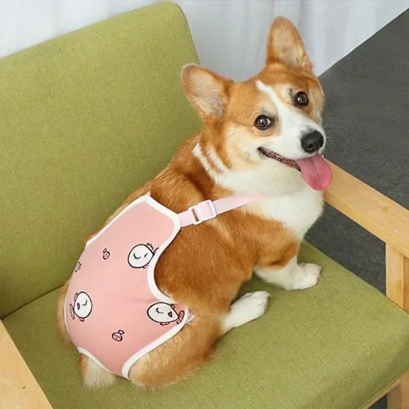 Majtki Dla Suczki Z Bawełny Na Szelkach – Regulowane, Wielorazowe, Bezpieczne Na Cieczkę