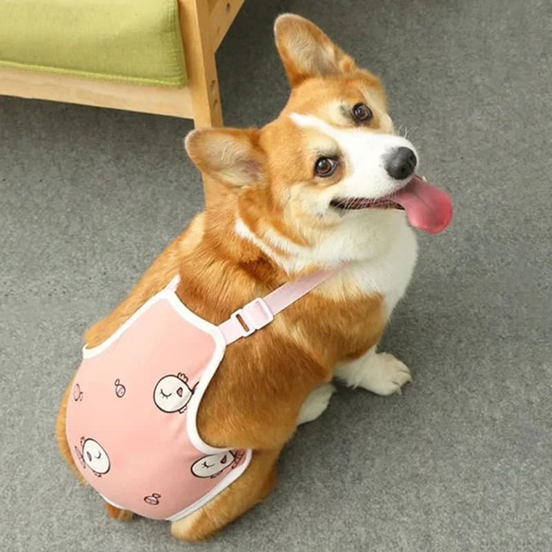 Majtki Dla Suczki Z Bawełny Na Szelkach – Regulowane, Wielorazowe, Bezpieczne Na Cieczkę